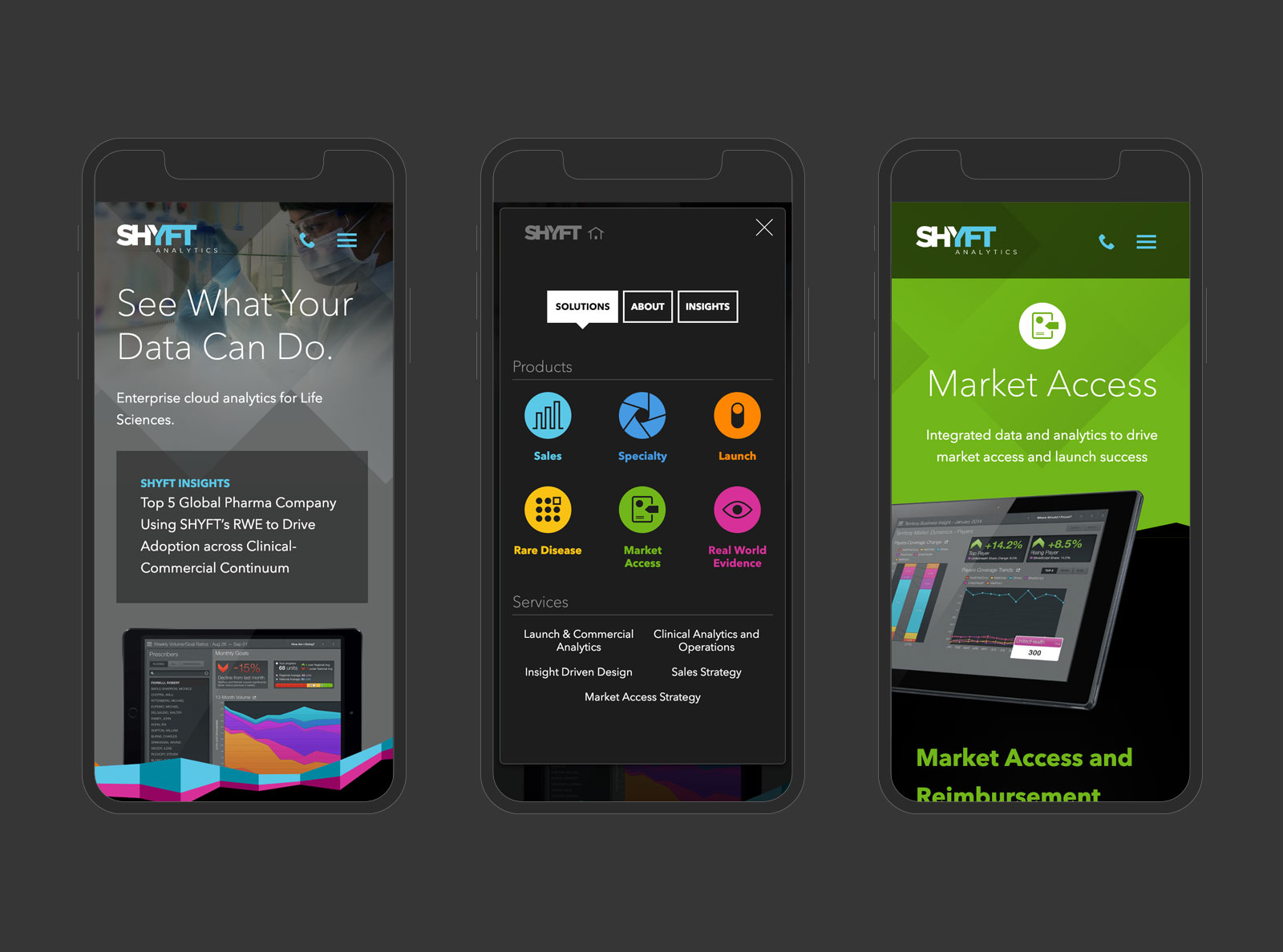 Screenshot of client's website