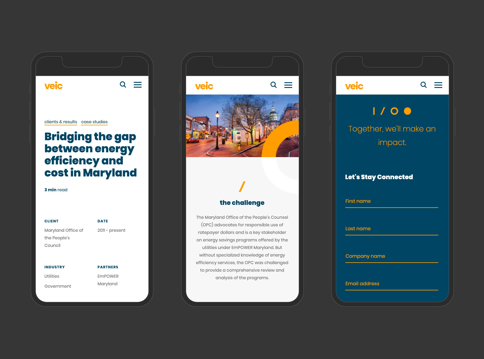 sScreenshot of client's website